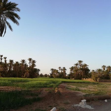 Kasbah Les Alizes Du Desert M'Hamid Exteriér fotografie