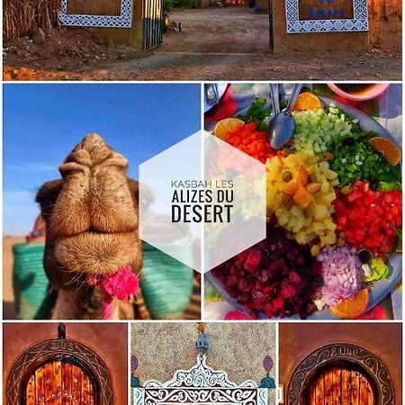Kasbah Les Alizes Du Desert M'Hamid Exteriér fotografie