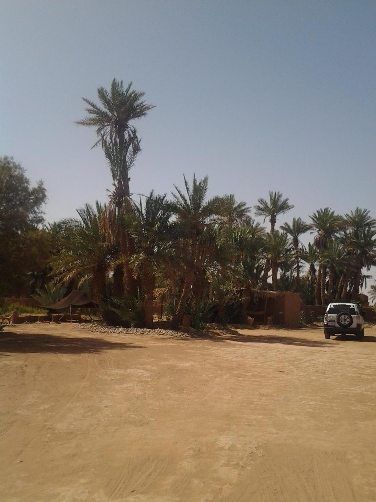 Kasbah Les Alizes Du Desert M'Hamid Exteriér fotografie