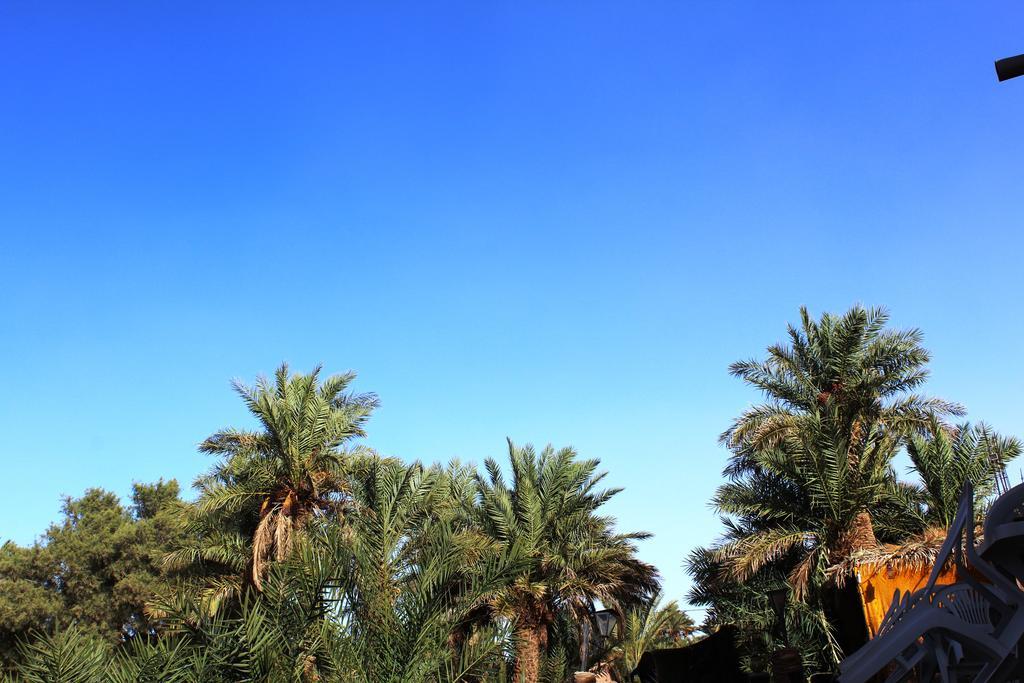 Kasbah Les Alizes Du Desert M'Hamid Exteriér fotografie