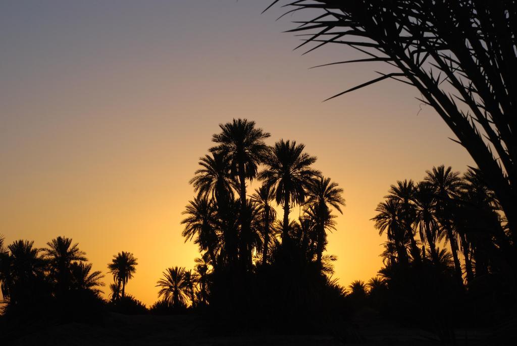 Kasbah Les Alizes Du Desert M'Hamid Exteriér fotografie