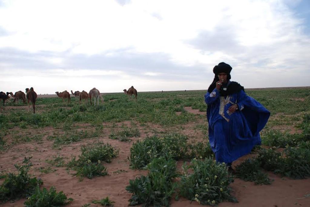 Kasbah Les Alizes Du Desert M'Hamid Exteriér fotografie