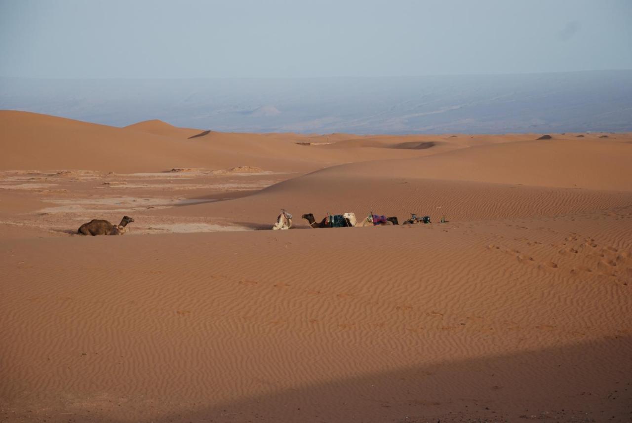 Kasbah Les Alizes Du Desert M'Hamid Exteriér fotografie