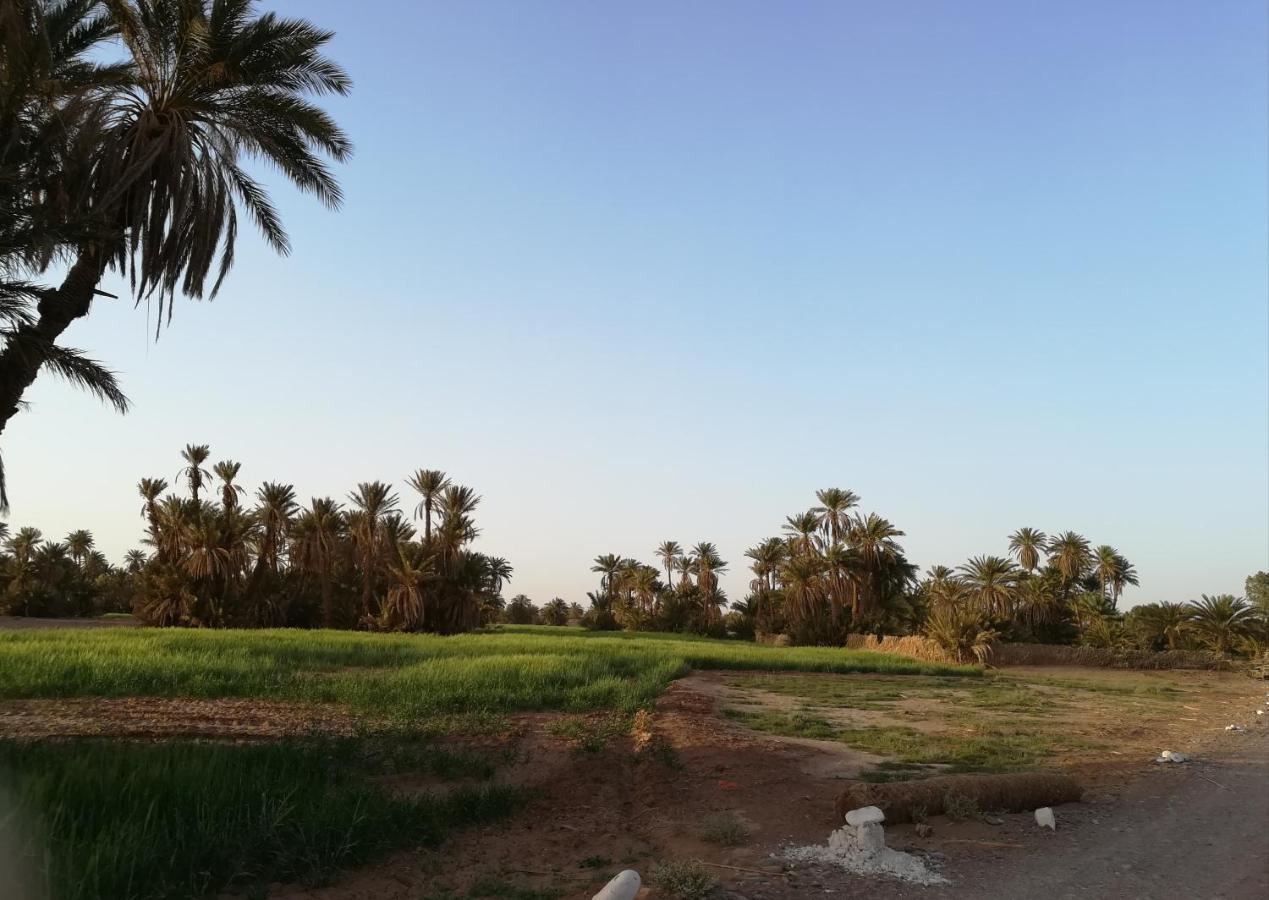 Kasbah Les Alizes Du Desert M'Hamid Exteriér fotografie