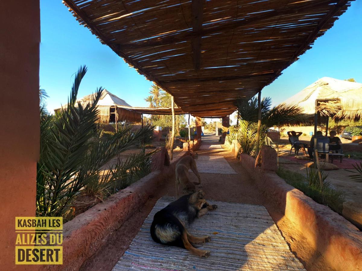 Kasbah Les Alizes Du Desert M'Hamid Exteriér fotografie