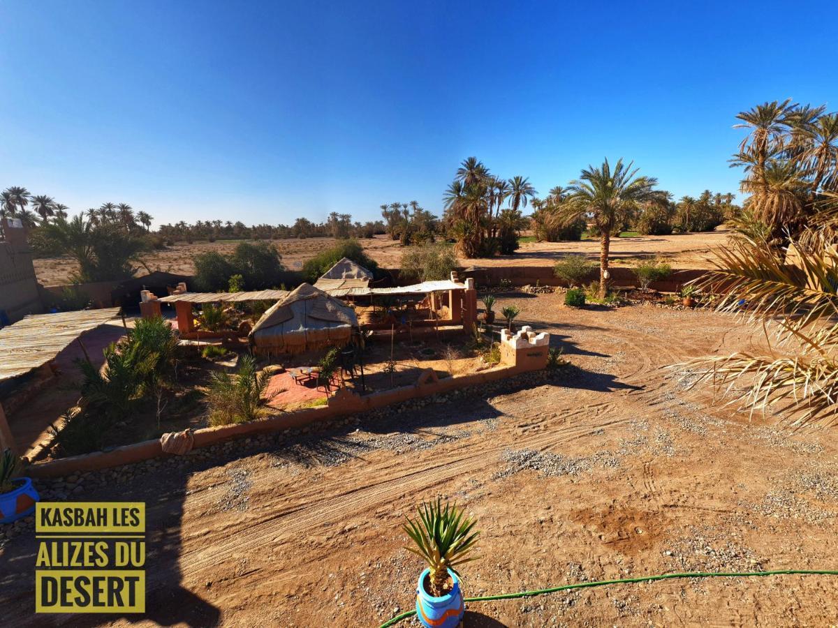 Kasbah Les Alizes Du Desert M'Hamid Exteriér fotografie